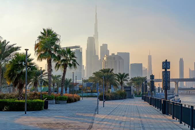 Dubai Property Investment
